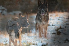 HBH_7555_solveig_collage_kw25-02_01_72-1000