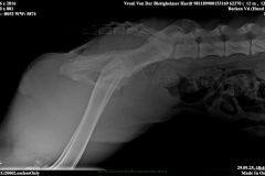 vroni_rueken_kw25-40