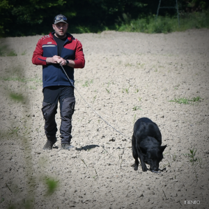 DSC_2752_jonas-el-01