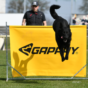 DSC_8034_jonas_el_02