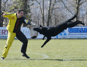 DSC_9207_#18_el-cap-arkona-03