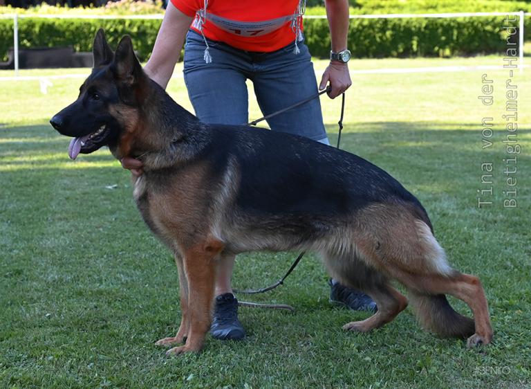 tina_bietigheimer-hardt_2662-01